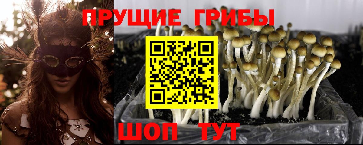 Галлюциногенные грибы прущие грибы Южноуральск