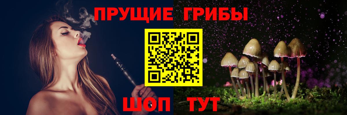 Южноуральск  Псилоцибиновые грибы Psilocybine cubensis  Вход с VPN  Галлюциногенные грибы Psilocybine cubensis 